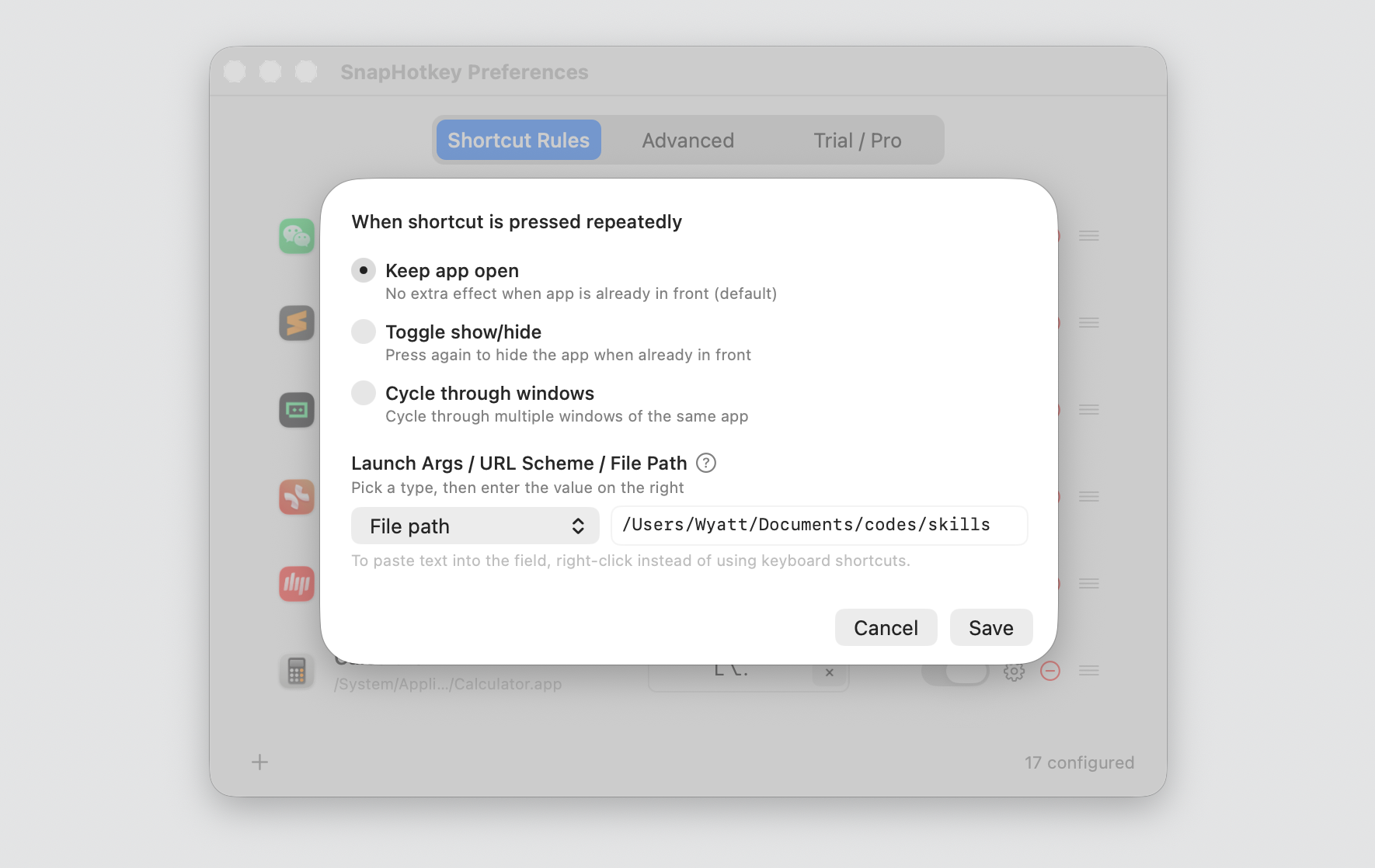 SnapHotkey's per-rule options sheet — Keep app open, Toggle show/hide, Cycle through windows, and a Launch Args / URL Scheme / File Path field pointing at a project directory